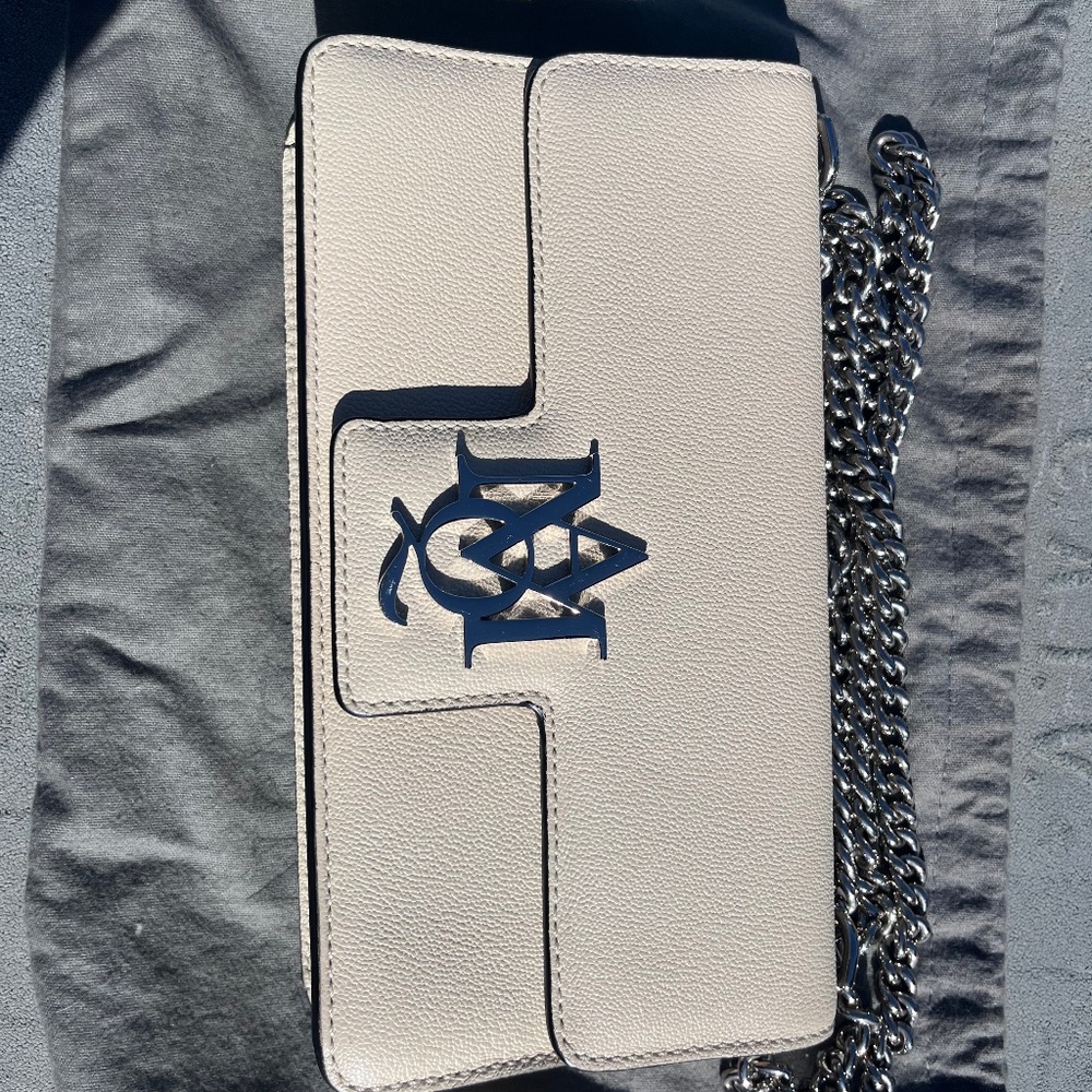 Alexander Mcqueen purse